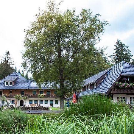 Kuckucksnester Menzenschwand Lägenhet Exteriör bild